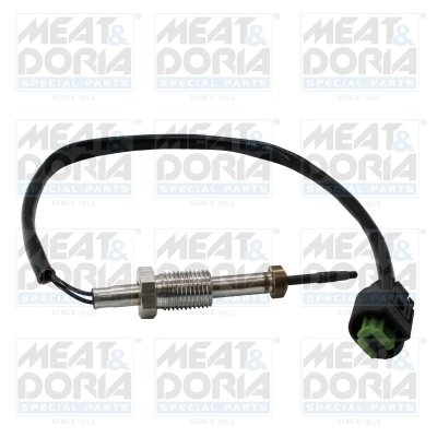 Sensor, exhaust gas temperature